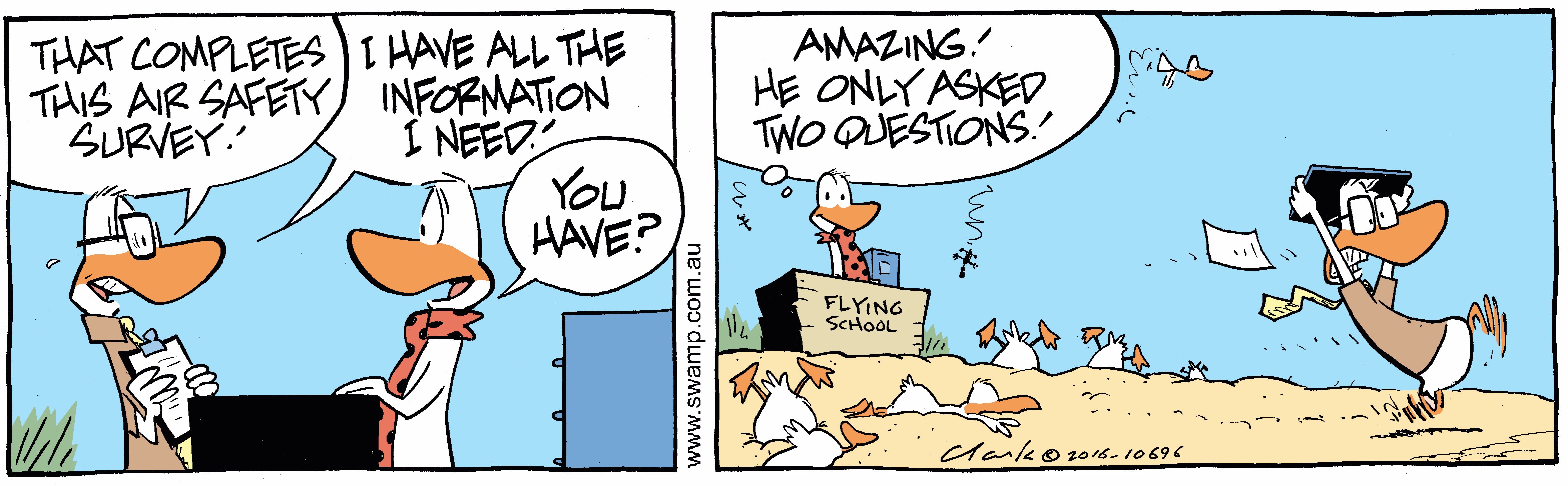 Air Safety Survey Colour Cartoon